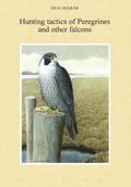 Hunting Tactics of Peregrines and other Falcons