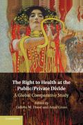 The Right to Health at the Public/Private Divide