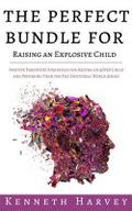 The Perfect Bundle For Raising an Explosive Child
