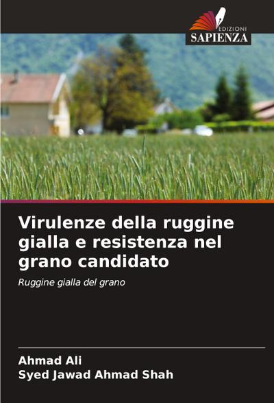 Virulenze della ruggine gialla e resistenza nel grano candidato