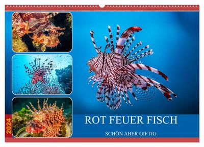 Rot Feuer Fisch (Wandkalender 2024 DIN A2 quer), CALVENDO Monatskalender