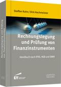 Rechnungslegung und Prüfung von Finanzinstrumenten