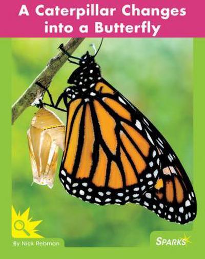 A Caterpillar Changes Into a Butterfly