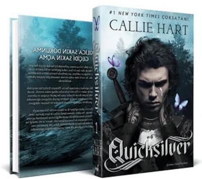 Quicksilver Ciltli