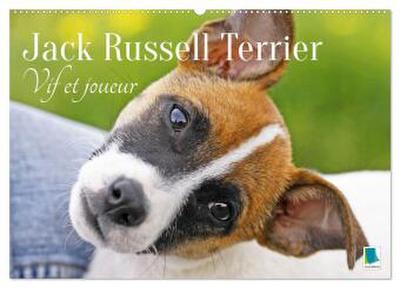 Jack Russell Terrier : vif et joueur (Calendrier mural 2026 DIN A2 vertical), CALVENDO calendrier mensuel