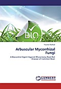 Arbuscular Mycorrhizal Fungi