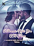 Romantic Night: Get a CEO Home