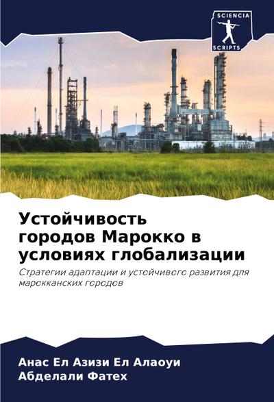Ustojchiwost’ gorodow Marokko w uslowiqh globalizacii