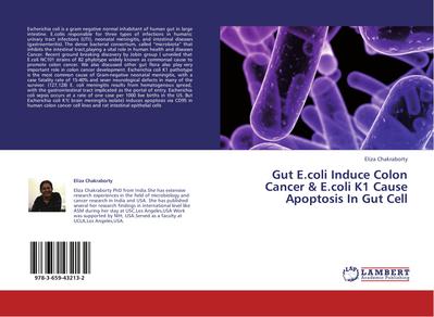 Gut E.coli Induce Colon Cancer & E.coli K1 Cause Apoptosis In Gut Cell