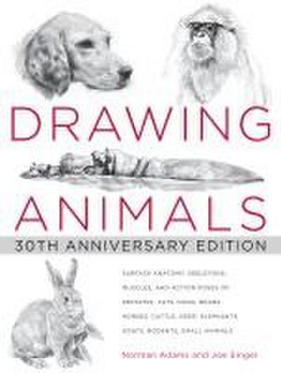 Drawing Animals