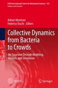 Collective Dynamics from Bacteria to Crowds