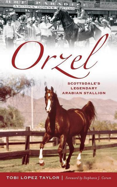 Orzel: Scottsdale’s Legendary Arabian Stallion