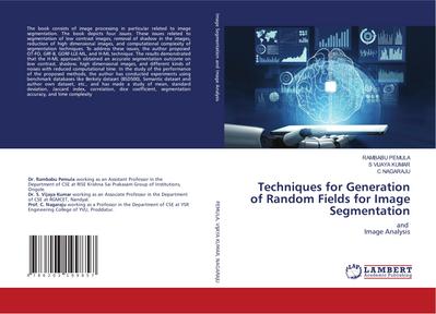 Techniques for Generation of Random Fields for Image Segmentation