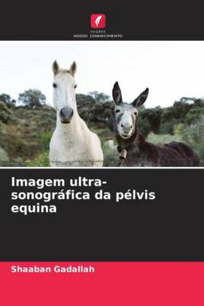 Imagem ultra-sonográfica da pélvis equina
