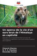 Un aperçu de la vie d’un ours brun de l’Himalaya en captivité
