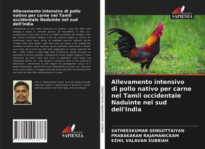Allevamento intensivo di pollo nativo per carne nel Tamil occidentale Naduinte nel sud dell’India