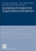 Sozialpsychologisches Organisationsverstehen