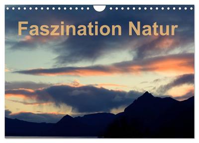 Fasziantion Natur (Wandkalender 2024 DIN A4 quer), CALVENDO Monatskalender