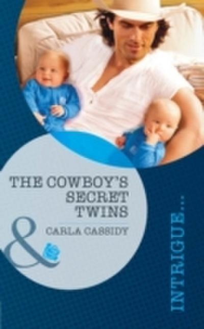 Cowboy’s Secret Twins (Mills & Boon Intrigue)