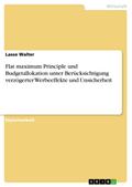 Flat maximum Principle und  Budgetallokation unter Berücksichtigung  verzögerter Werbeeffekte und Unsicherheit