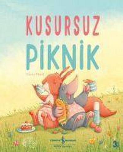 Kusursuz Piknik