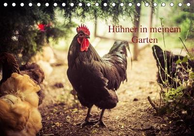 Hühner in meinem Garten (Tischkalender 2017 DIN A5 quer)