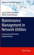 Maintenance Management in Network Utilities