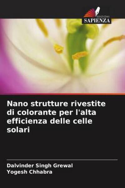 Nano strutture rivestite di colorante per l’alta efficienza delle celle solari