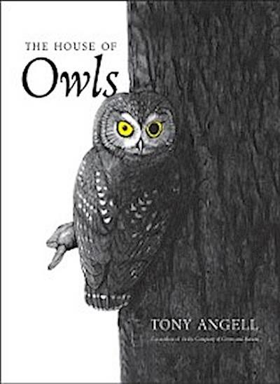House of Owls