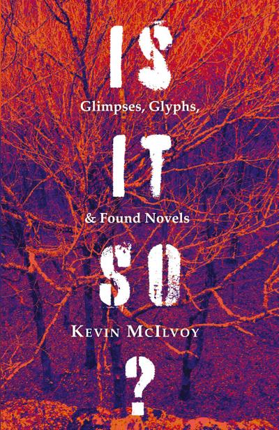 Is It So? Glimpses, Glyphs, & Found Novels