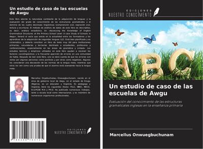 Un estudio de caso de las escuelas de Awgu