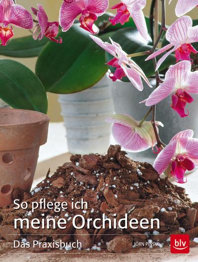 So pflege ich meine Orchideen