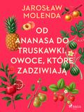 Od ananasa do truskawki. Owoce, które zadziwiają