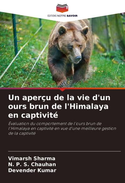 Un aperçu de la vie d’un ours brun de l’Himalaya en captivité