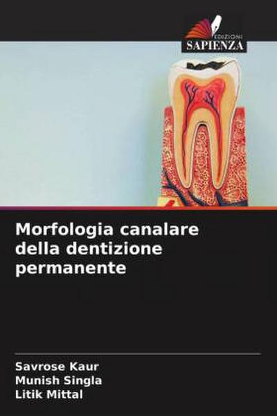 Morfologia canalare della dentizione permanente