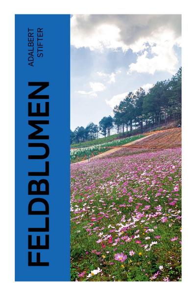 Feldblumen