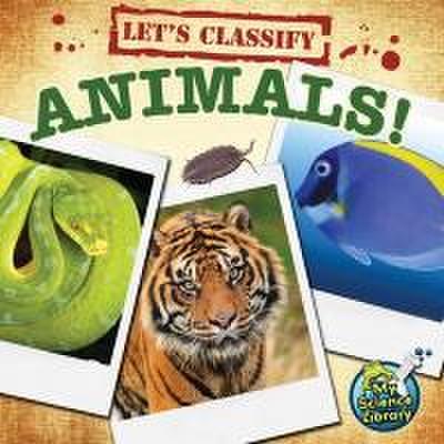 Let’s Classify Animals!