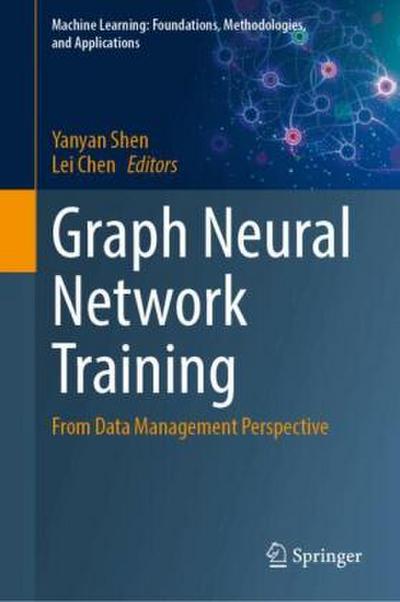 Graph Neural Network Training