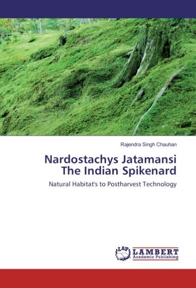 Nardostachys Jatamansi The Indian Spikenard