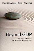 Beyond GDP