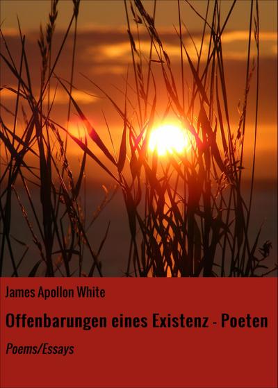 Offenbarungen eines Existenz - Poeten