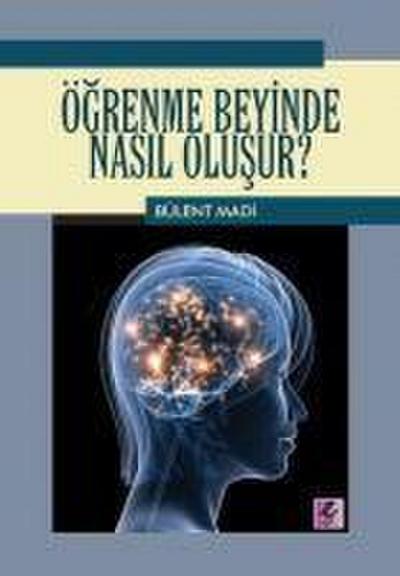 Ögrenme Beyinde Nasil Olusur