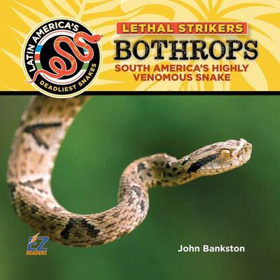 Bothrops: South America’s Highly Venomous Snake
