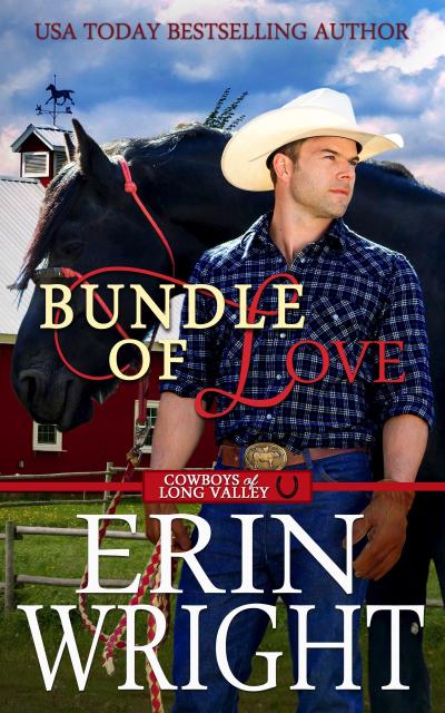 Bundle of Love: An Office Contemporary Western Romance (Cowboys of Long Valley Romance, #7)