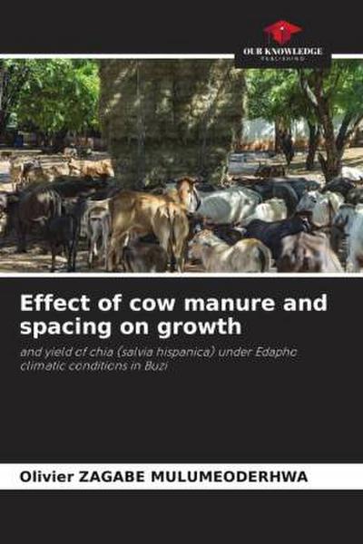 Effect of cow manure and spacing on growth