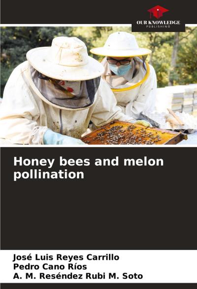 Honey bees and melon pollination