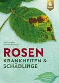 Rosen - Krankheiten & Schädlinge