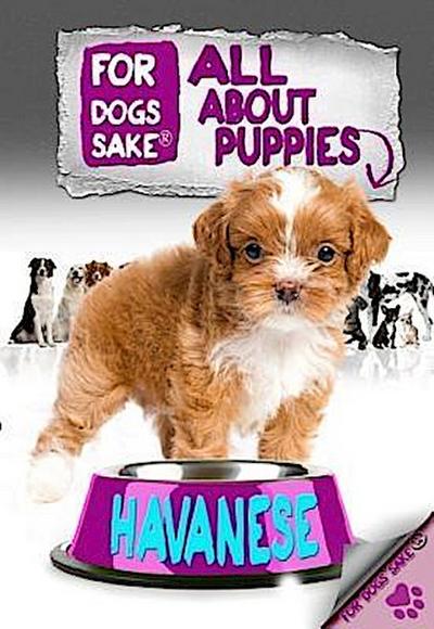 Milbrook, J: All About Havanese Puppies