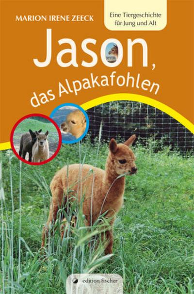 Jason, das Alpakafohlen