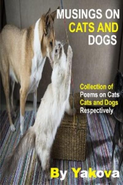 Musings On Cats And Dogs (eBook, EPUB) - Yakova